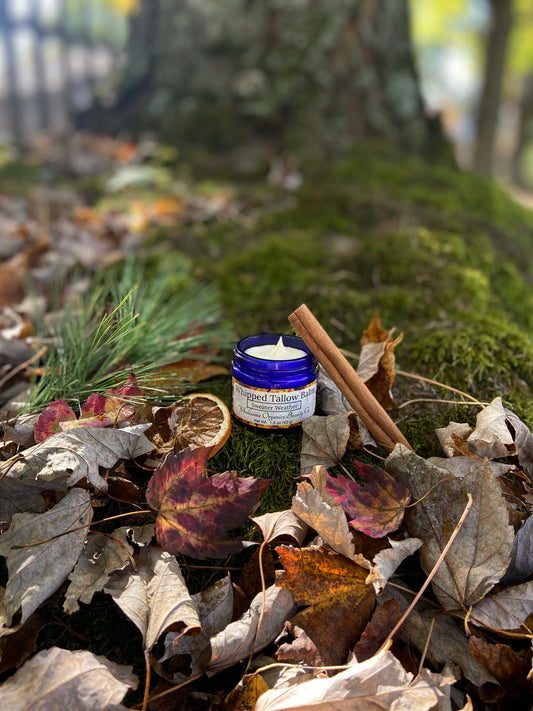Whipped Tallow Balm |Sweater Weather|