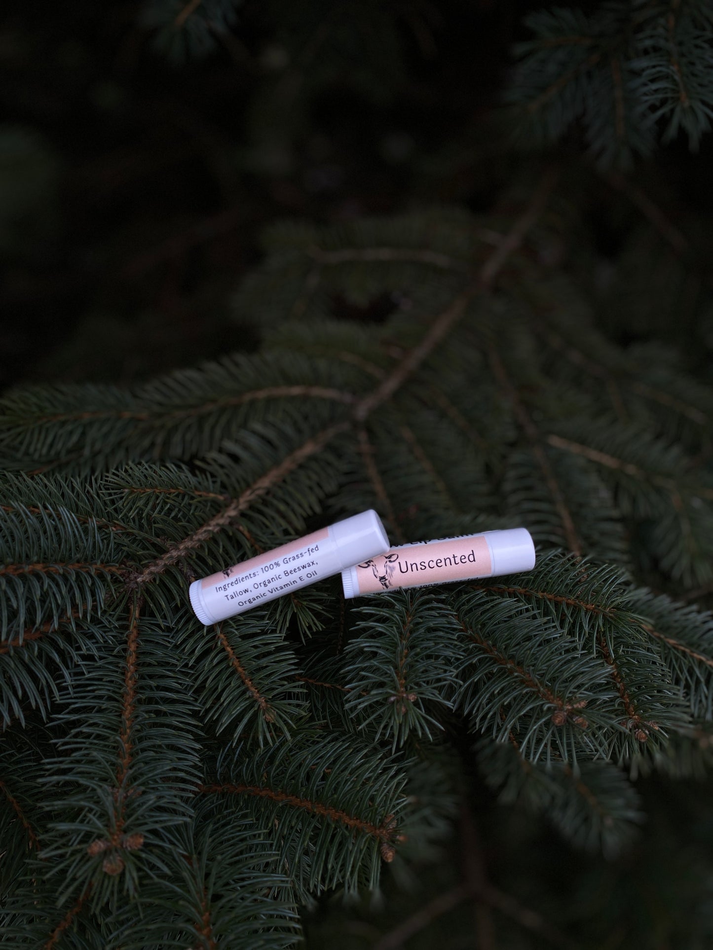 Tallow Lip Balm |Unscented|