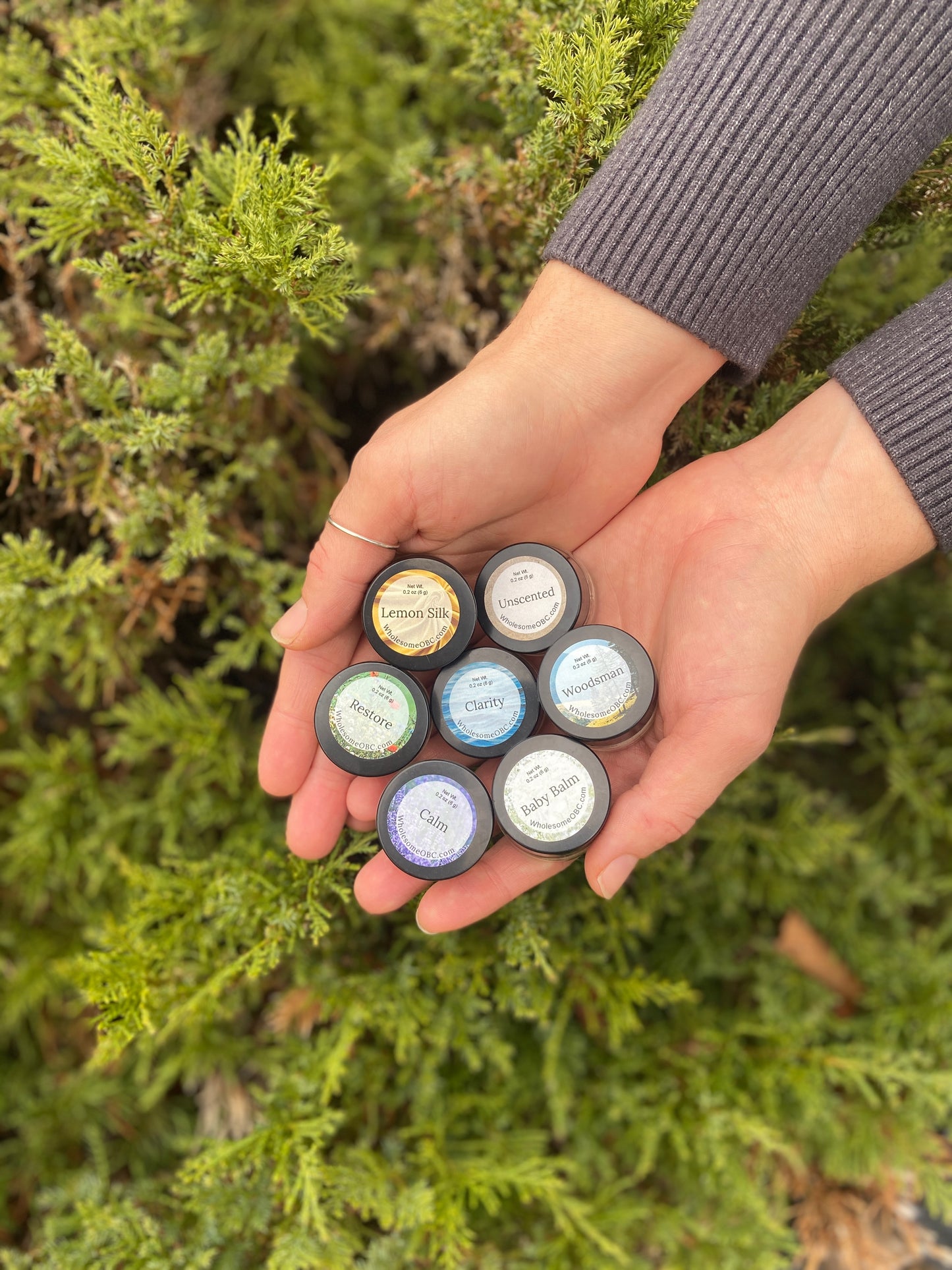 Whipped Tallow Balm Sample