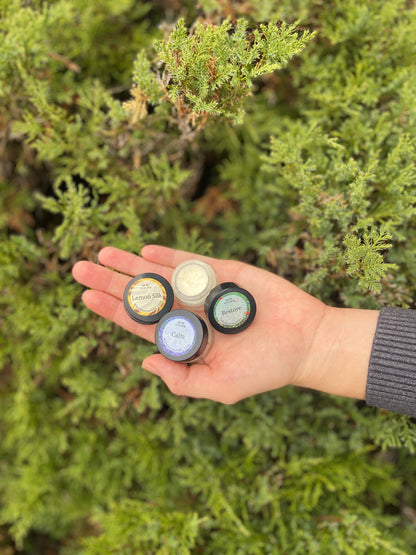 Whipped Tallow Balm Sample