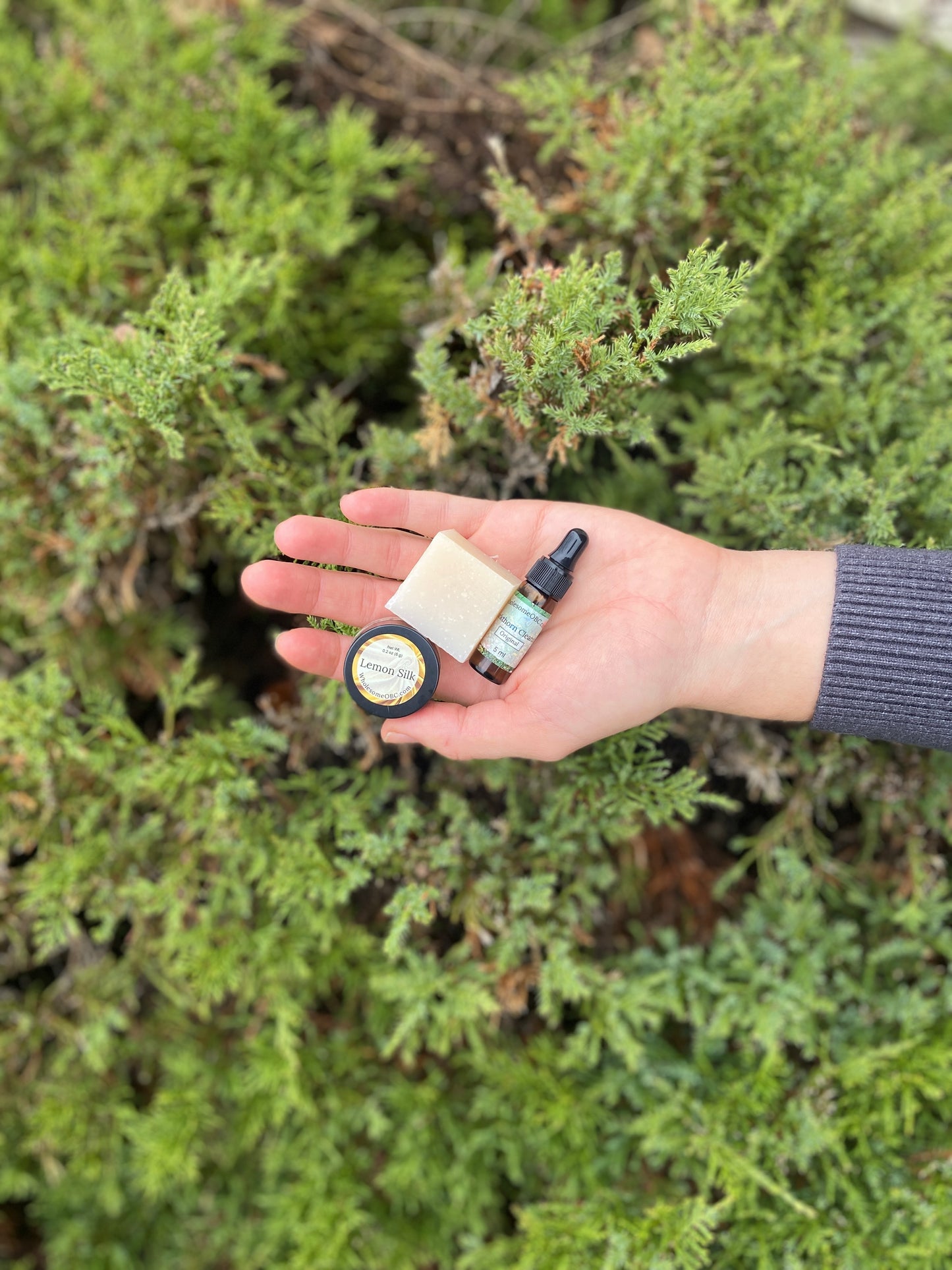 Tallow Face & Body Bar Sample