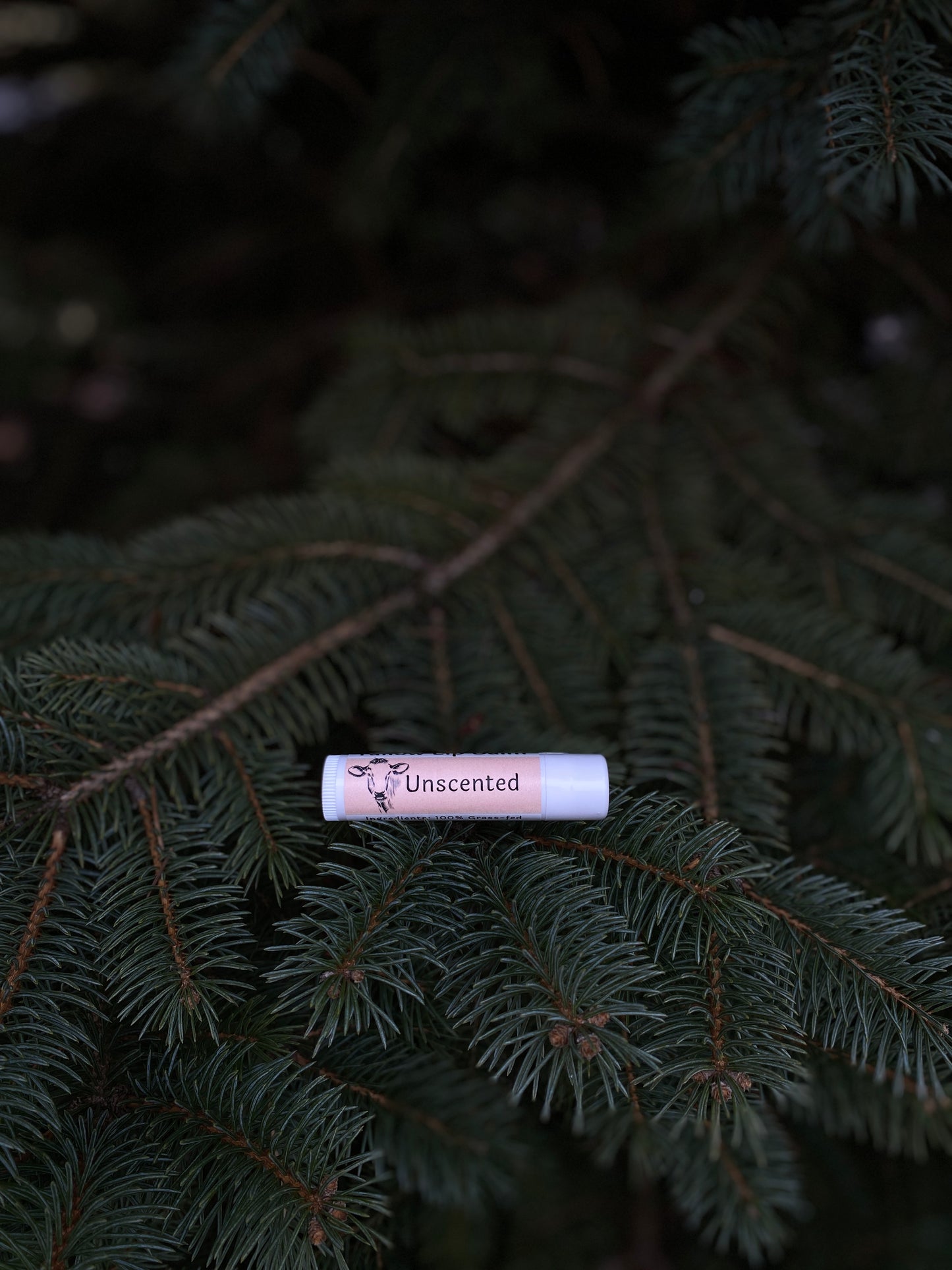 Tallow Lip Balm |Unscented|