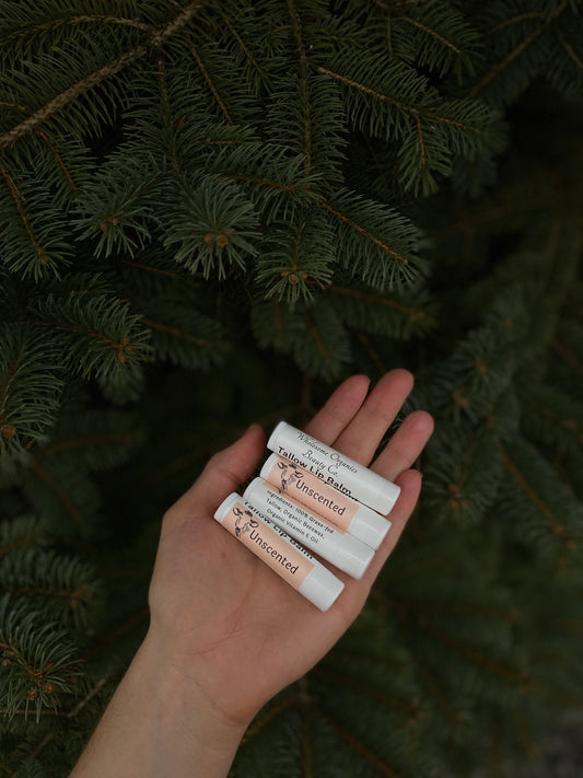 Tallow Lip Balm |Unscented|
